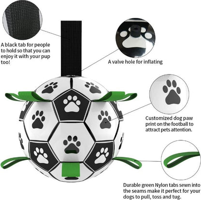 Dog Toys Interactive Ball