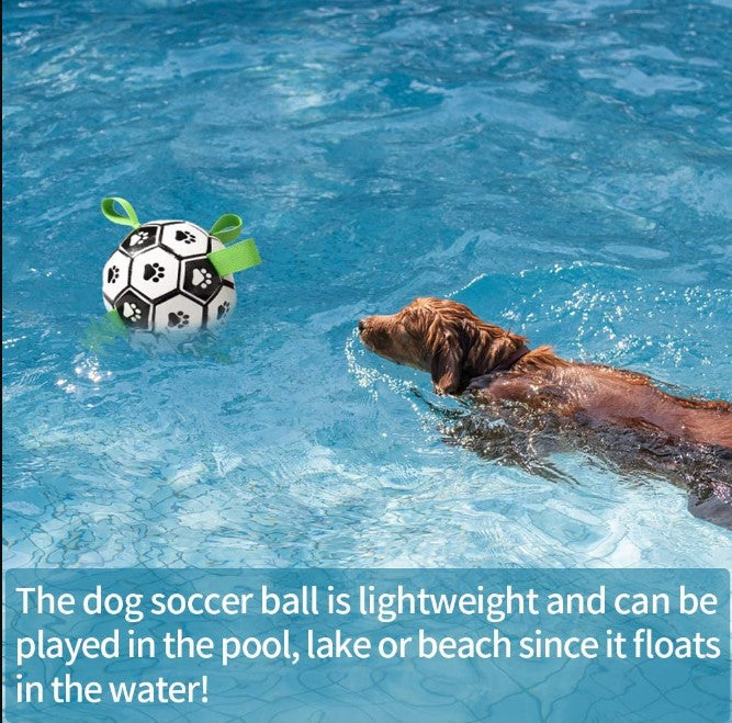 Dog Toys Interactive Ball